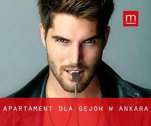Apartament dla gejów w Ankara