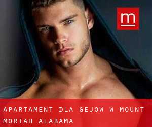 Apartament dla gejów w Mount Moriah (Alabama)