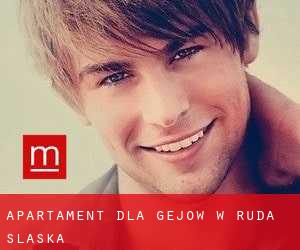 Apartament dla gejów w Ruda Śląska