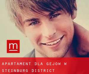 Apartament dla gejów w Steinburg District