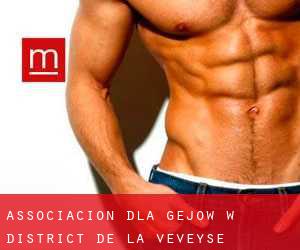 Associacion dla gejów w District de la Veveyse