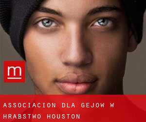 Associacion dla gejów w Hrabstwo Houston