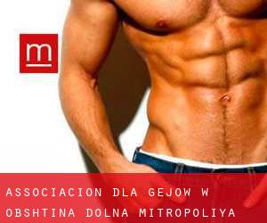 Associacion dla gejów w Obshtina Dolna Mitropoliya