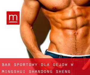 Bar sportowy dla gejów w Mingshui (Shandong Sheng)