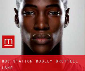 Bus Station Dudley (Brettell Lane)