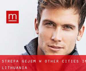 Strefa gejem w Other Cities in Lithuania