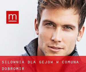 Siłownia dla gejów w Comună Dobromir