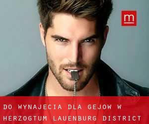 Do wynajęcia dla gejów w Herzogtum Lauenburg District
