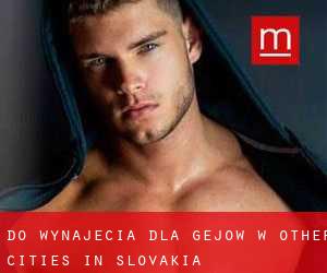 Do wynajęcia dla gejów w Other Cities in Slovakia