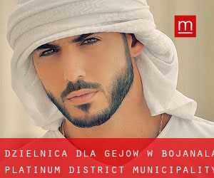 Dzielnica dla gejów w Bojanala Platinum District Municipality