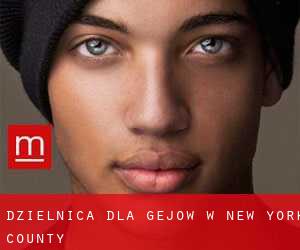 Dzielnica dla gejów w New York County