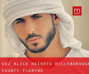 gej Alice Heights (Hillsborough County, Floryda)