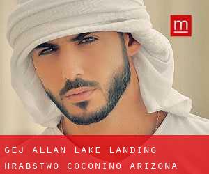 gej Allan Lake Landing (Hrabstwo Coconino, Arizona)