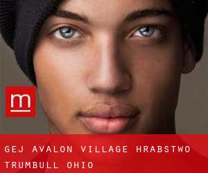 gej Avalon Village (Hrabstwo Trumbull, Ohio)