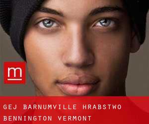 gej Barnumville (Hrabstwo Bennington, Vermont)