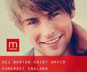 gej Barton Saint David (Somerset, England)