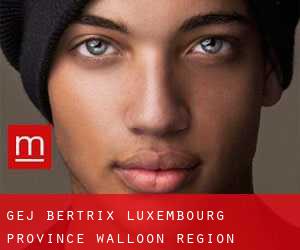 gej Bertrix (Luxembourg Province, Walloon Region)