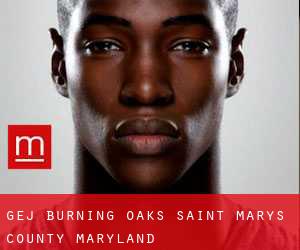 gej Burning Oaks (Saint Mary's County, Maryland)