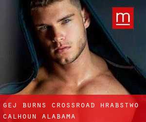 gej Burns Crossroad (Hrabstwo Calhoun, Alabama)