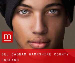 gej Cadnam (Hampshire County, England)