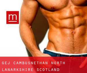 gej Cambusnethan (North Lanarkshire, Scotland)