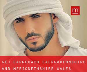gej Carnguwch (Caernarfonshire and Merionethshire, Wales)