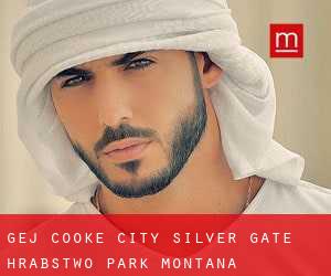 gej Cooke City-Silver Gate (Hrabstwo Park, Montana)