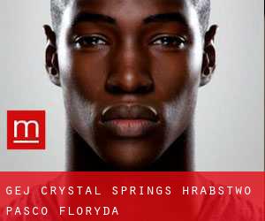 gej Crystal Springs (Hrabstwo Pasco, Floryda)