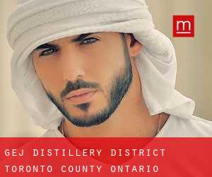 gej Distillery District (Toronto county, Ontario)