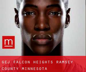 gej Falcon Heights (Ramsey County, Minnesota)