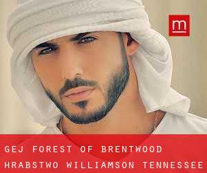 gej Forest of Brentwood (Hrabstwo Williamson, Tennessee)