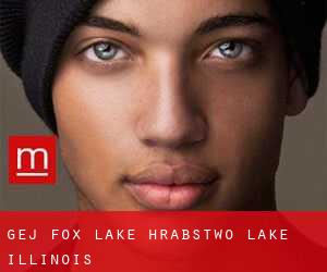 gej Fox Lake (Hrabstwo Lake, Illinois)