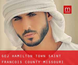 gej Hamilton Town (Saint Francois County, Missouri)