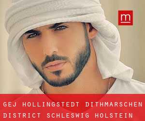 gej Hollingstedt (Dithmarschen District, Schleswig-Holstein)