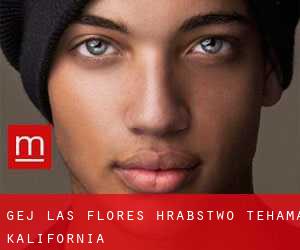 gej Las Flores (Hrabstwo Tehama, Kalifornia)
