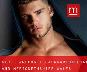 gej Llanddoget (Caernarfonshire and Merionethshire, Wales)