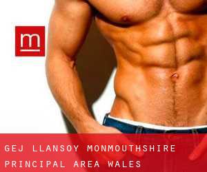gej Llansoy (Monmouthshire principal area, Wales)