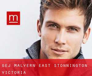 gej Malvern East (Stonnington, Victoria)