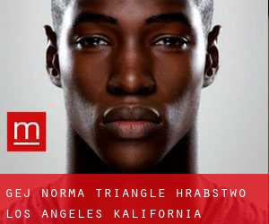 gej Norma Triangle (Hrabstwo Los Angeles, Kalifornia)