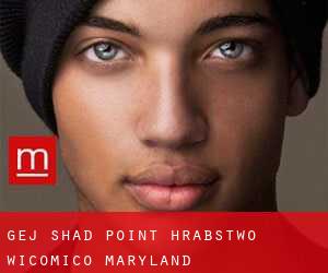 gej Shad Point (Hrabstwo Wicomico, Maryland)