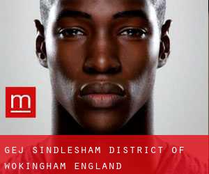 gej Sindlesham (District of Wokingham, England)