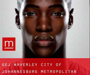 gej Waverley (City of Johannesburg Metropolitan Municipality, Gauteng)