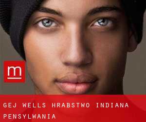 gej Wells (Hrabstwo Indiana, Pensylwania) gej Wells (Hrabstwo Indiana, Pensylwania)