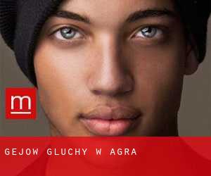 Gejów głuchy w Agra Gejów głuchy w Agra