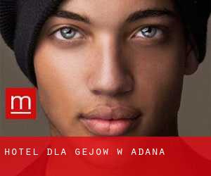 Hotel dla gejów w Adana