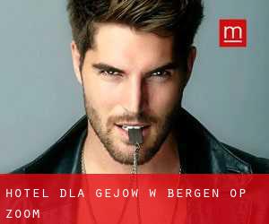 Hotel dla gejów w Bergen op Zoom