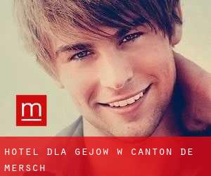 Hotel dla gejów w Canton de Mersch