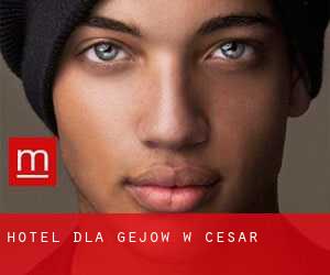 Hotel dla gejów w Cesar