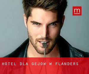 Hotel dla gejów w Flanders