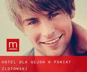Hotel dla gejów w Powiat złotowski